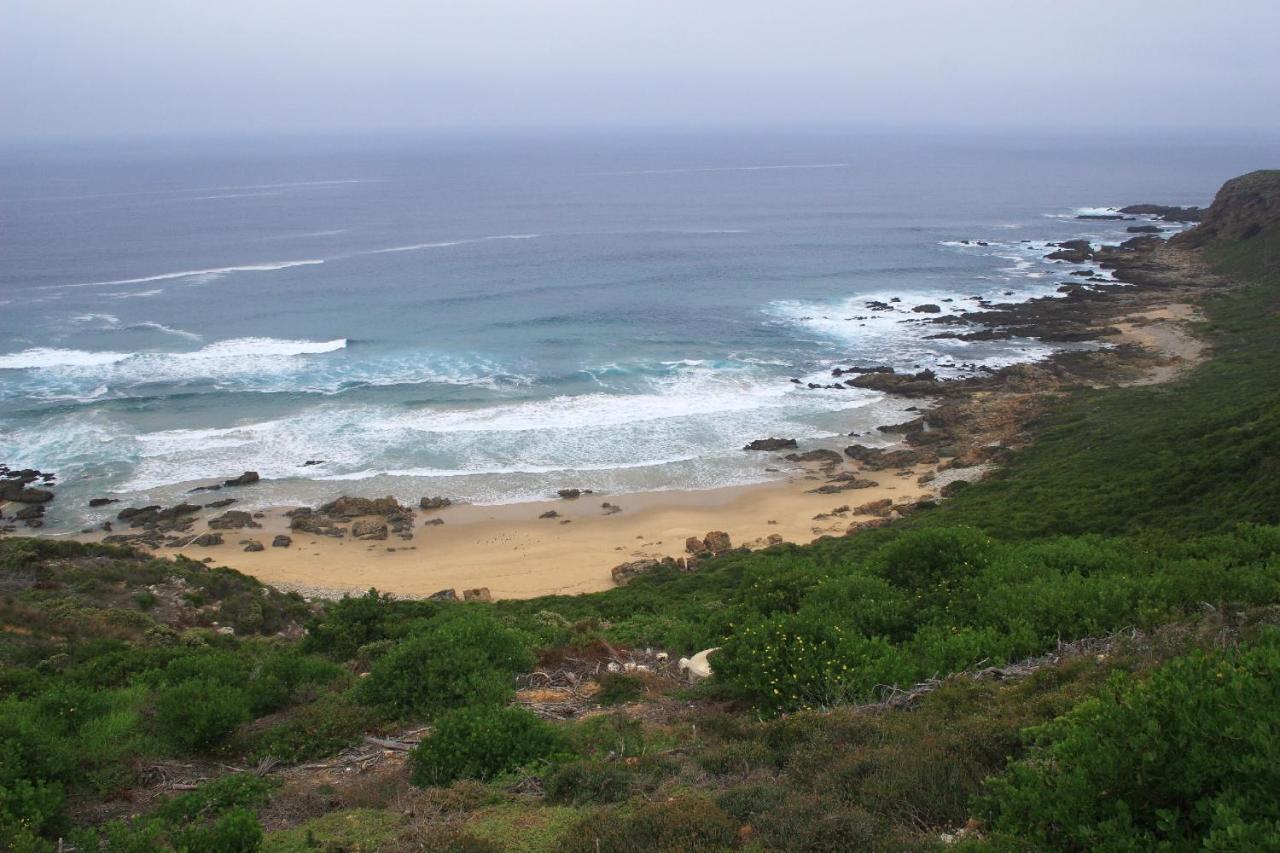 Pinnacle Point Beach & Golf - Penthouse & Villa Mossel Bay Exterior foto